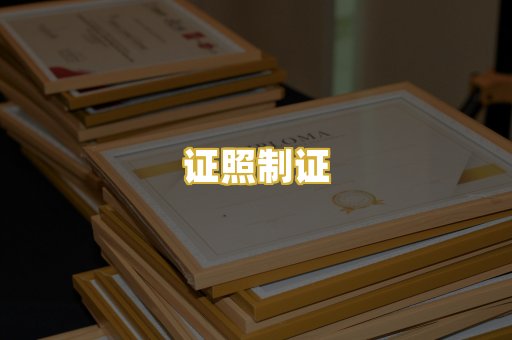 证照制证